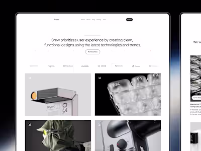 Schein - Universal Portfolio Template