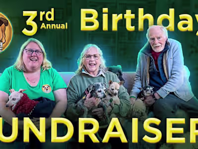 Birthday Fundraiser YT Thumbnail Design Moose Lodge SPS