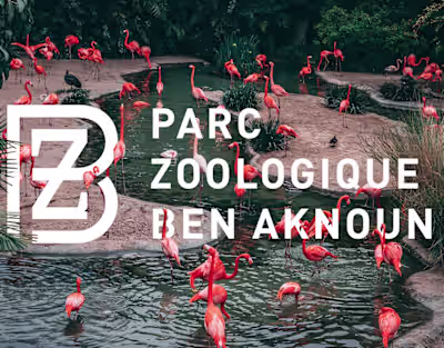 Zoo Branding and Signage