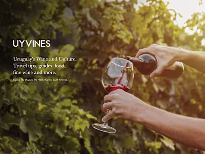 UYVINES Blog Design