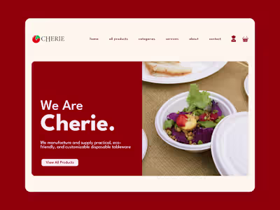 Creating a Modern E-Commerce Web Design for Disposable Tableware
