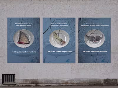 WORK | Erin Dougherty