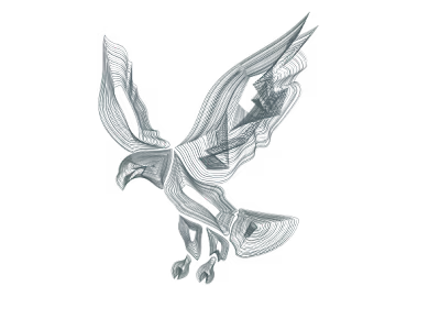 Eagle Illustration!