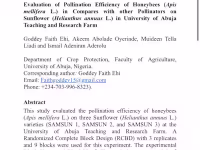 Proofreading for your documents, books or essays.