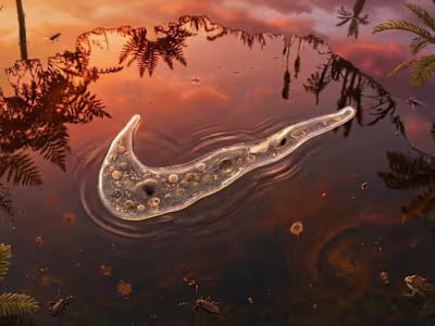 I have recently been researching