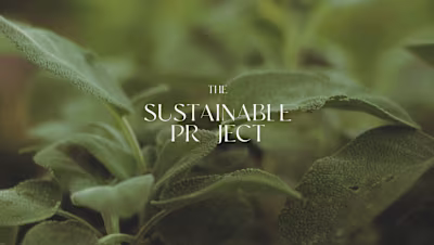 The Sustainable Project