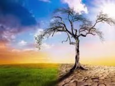 The butterfly effect of deforestation causing climate change