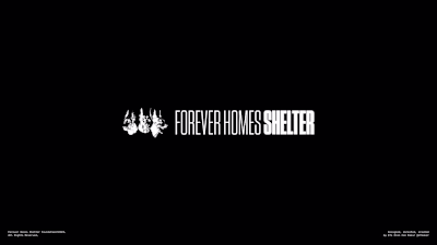 Forever Homes Shelter™ • Brand System • Web Design