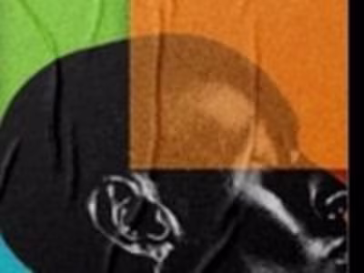 Digital marketing ad