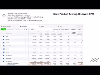Paid ads plan that scaled revenue 
