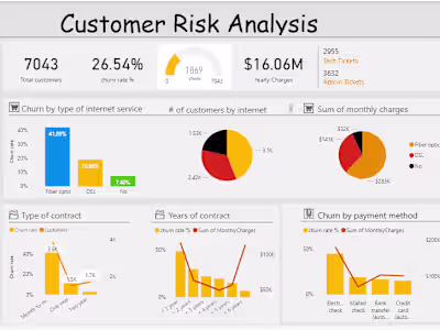 Customer risk analysis