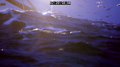 Deadliest Catch - Scandies Rose