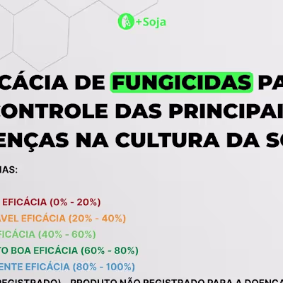 Soybean Disease Control Fungicide Efficacy Compilation