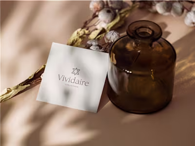 Vividaire Collection: Brand Identity