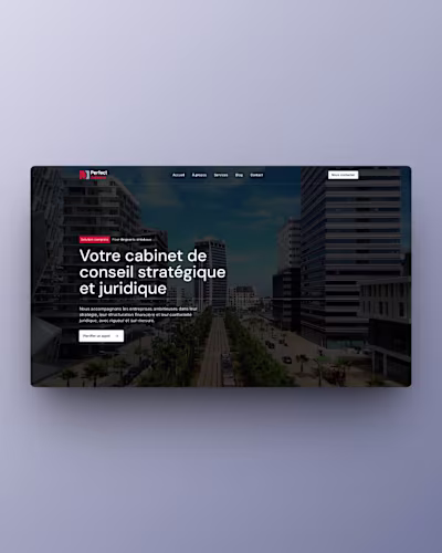 Perfect Advice Consulting Firm Website Design & Development