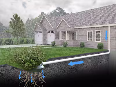 A Homeowner’s Guide To Rain Gardens
