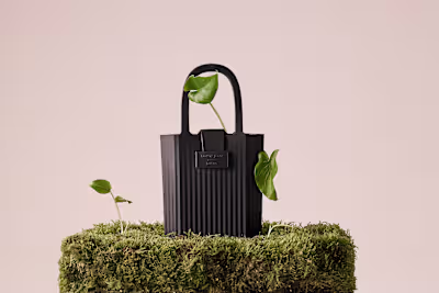 Product Campaign for Lemon Jelly