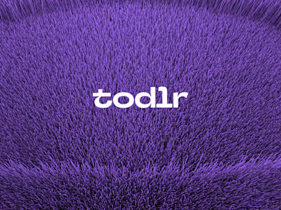 Brand Design for Todlr