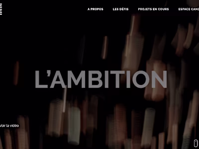 Institutional Website