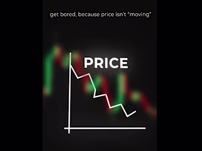 Stunning Fully Animated Reel | After Effects Masterpiece