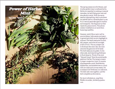 Herb Article: Mint