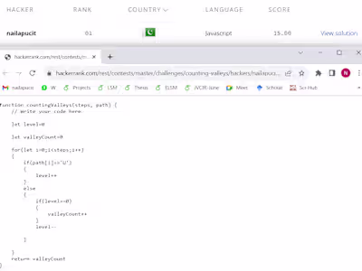 Programming and documentation Expert