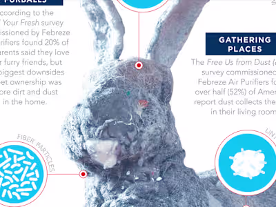 Infographic for Febreze