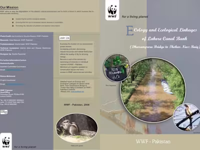 Tri-fold for a non-profit organization