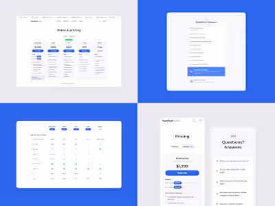 A clean, CRO-focused pricing page (https://twelvedata.com/pr...