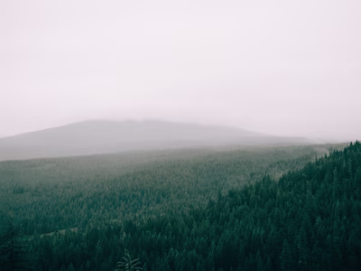 Copywriting for nonprofit technology and fundraising blog (3)