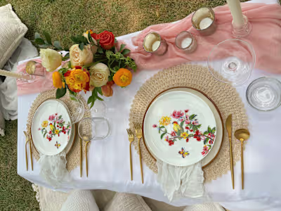 Ceesay Settings Picnic