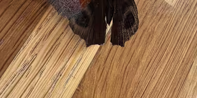 Reflections on Moving to the Netherlands