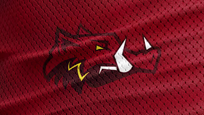 Washington Warthogs - Commanders Redesign 