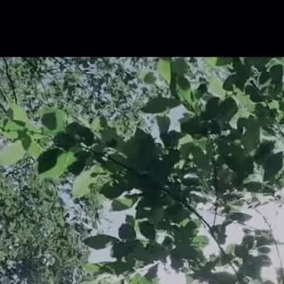 Lemonspaces GARDEN CITY Campaign 