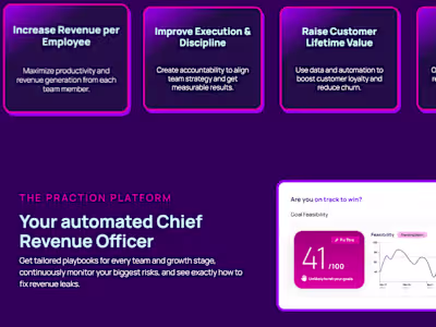Praction: CRO Solutions for B2B Growth