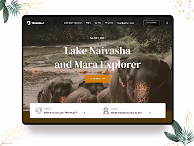 Wakanow Website Design