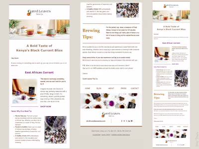 Newsletter Template