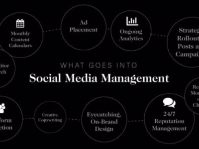 Beyond Posts: Masterful Social Media Management for Your Brand