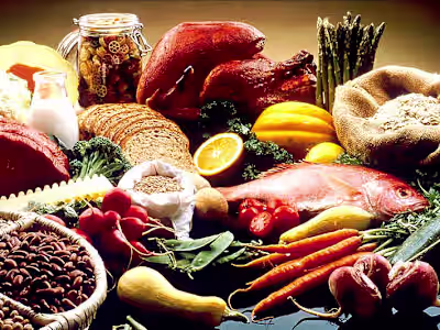 Exploring the World of Food: A Culinary Adventure