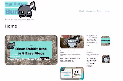 Customized WordPress Website Development