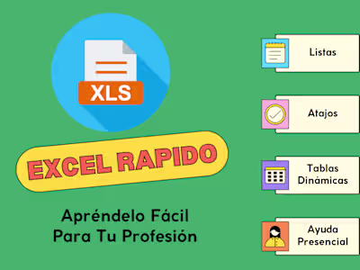 Clases de Excel y MS Office en Español en Miami
