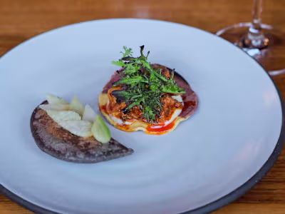 Blue and White Corn Tostada