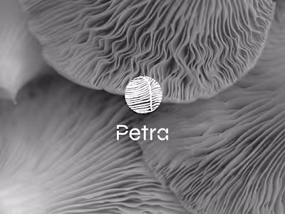 PETRA - INTERIOR DESIGN