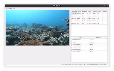 WhatFishDo: A Behavior Annotation Tool for Videos