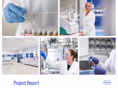 Company & Project Report Writing & Design