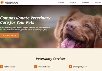 Website project for Webicodo Demo,