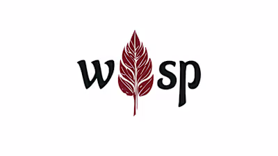 WISP Brand Identity & Visual Direction