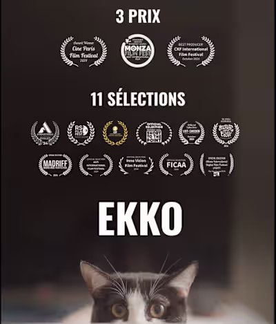 Ekko (2024) by A. Iglesias! Still running festivals but abou...