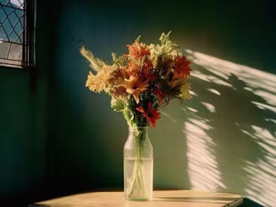 Harnessing Mind States for Peak Performance