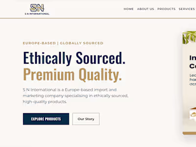 SN International Website Development